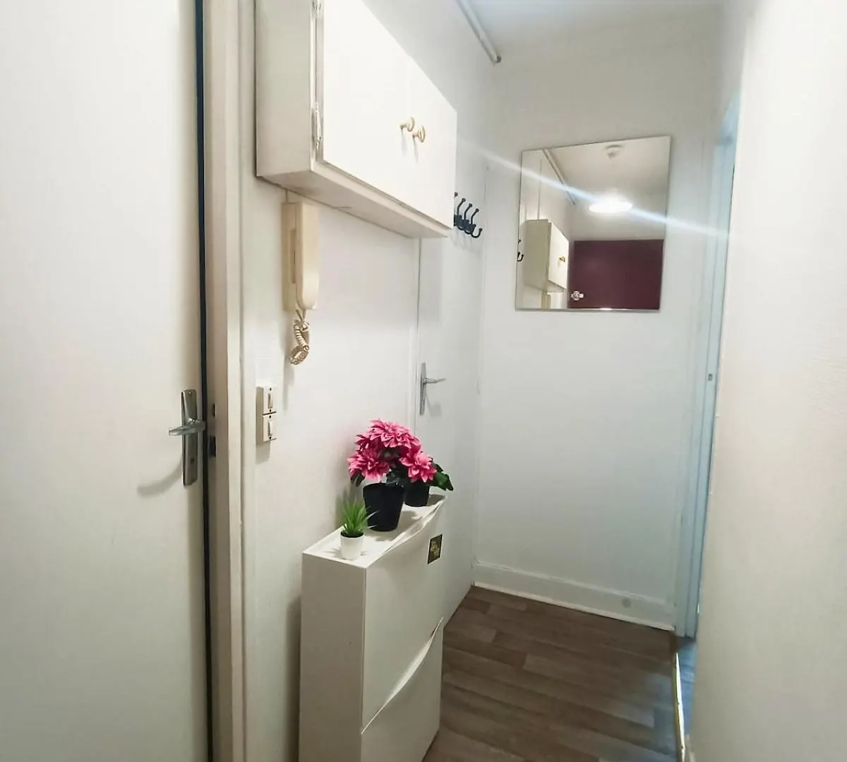 Le Nid De Basch Apartment Near Paris Thiais